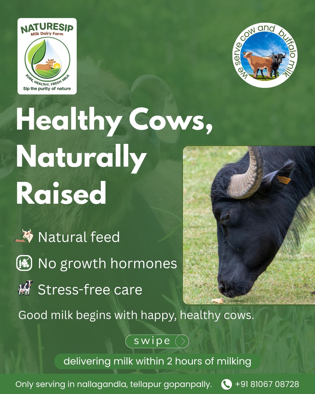 NatureSip Instagram post 4