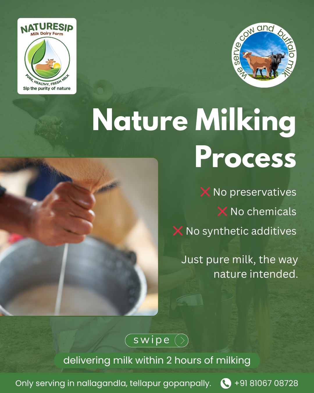 NatureSip Instagram post 9